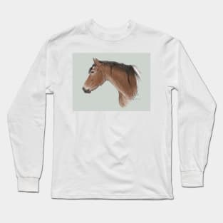 Pinto Horse Long Sleeve T-Shirt